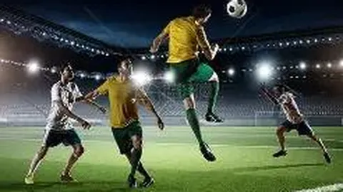 RAYBET雷竞技入口