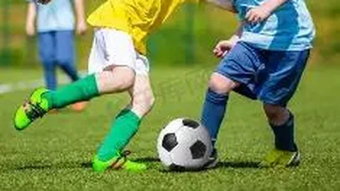 RAYBET雷竞技入口 资讯 101045 y9c